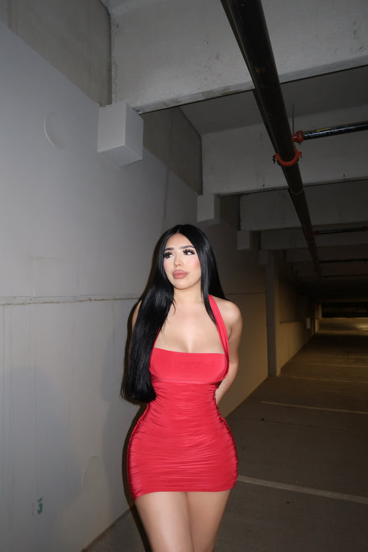 Rose mini dress